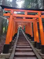 伏見稲荷大社(京都府)