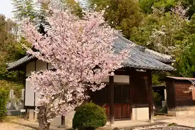 常信寺(愛媛県)