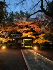 東漸寺(千葉県)