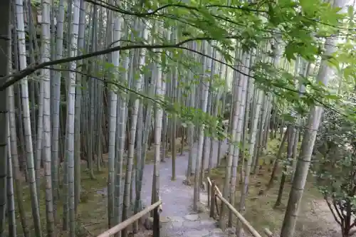 圓光寺(京都府)