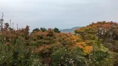 三鈷寺(京都府)