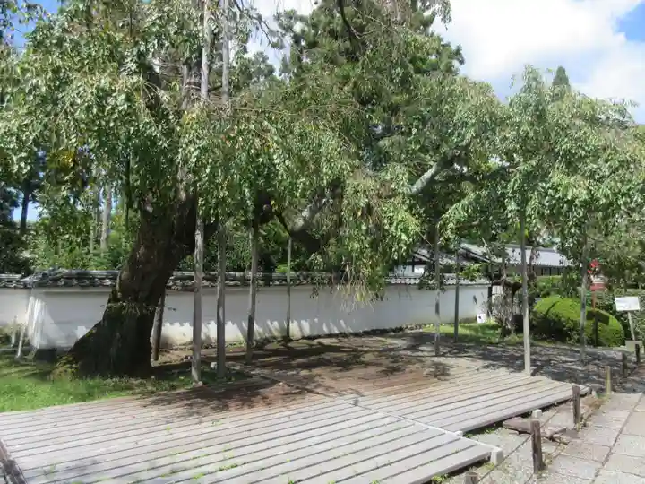 三宝院(三宝院門跡)(京都府)