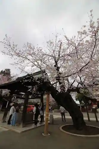 喜多院(埼玉県)