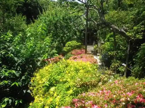 瑞泉寺の庭園