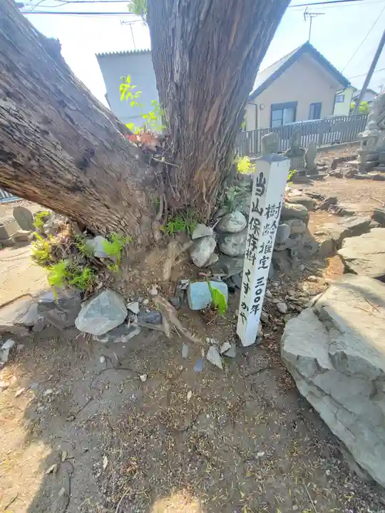專福寺(群馬県)