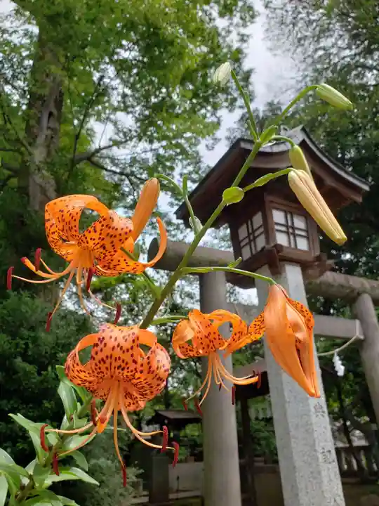 布多天神社(東京都)
