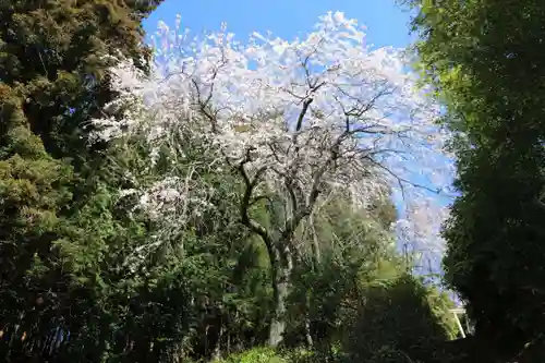 大六天麻王神社の庭園