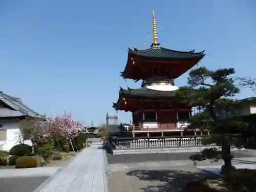 龍宝寺の塔