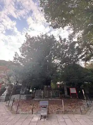 熊野速玉大社(和歌山県)