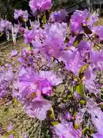 土津神社|こどもと出世の神さま(福島県)