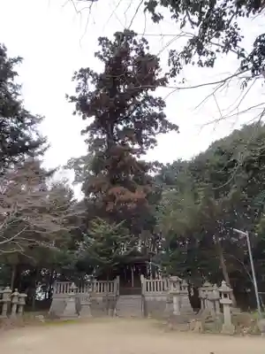 森神社の周辺