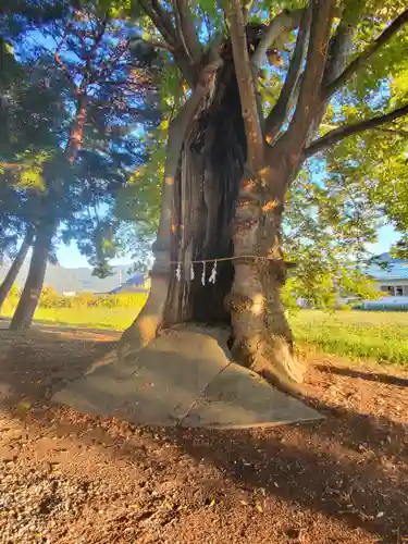 東福寺神社(長野県)