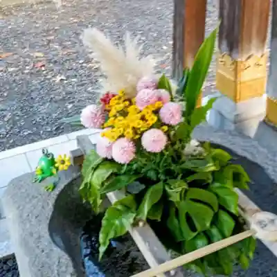 彌彦神社　(伊夜日子神社)の手水舎