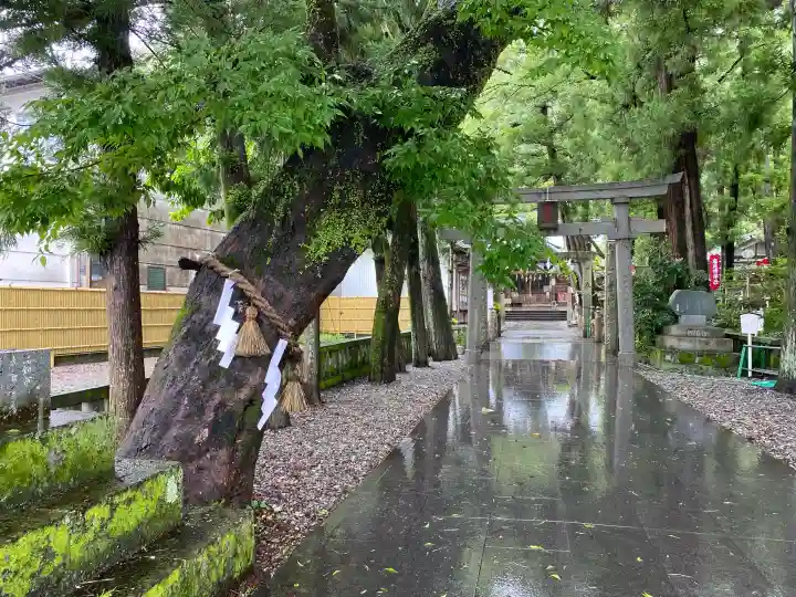 椙本神社(高知県)