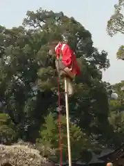 太宰府天満宮の動物