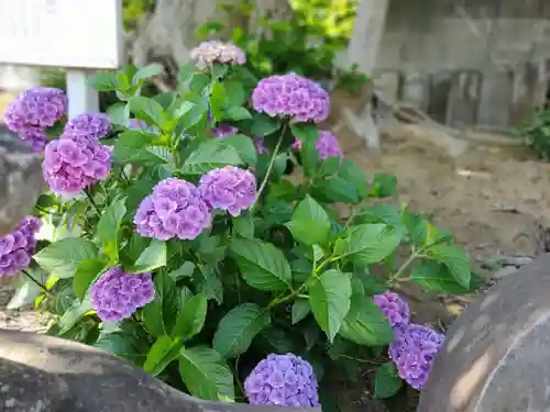 正源寺(茨城県)