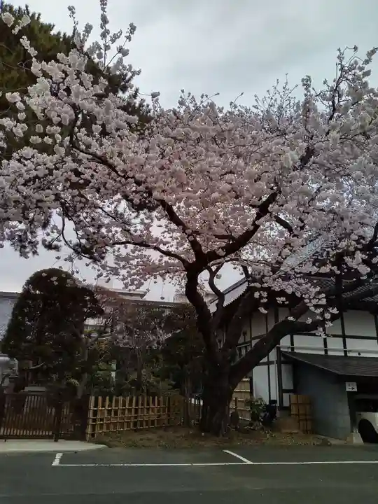 東秀院(宮城県)