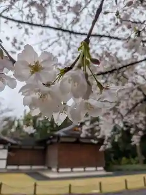 阿佐ヶ谷神明宮(東京都)