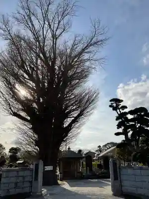 西円寺(茨城県)