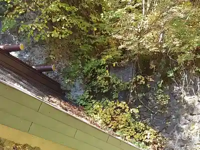 戸隠神社奥社(長野県)