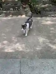 玉野御嶽神社の動物