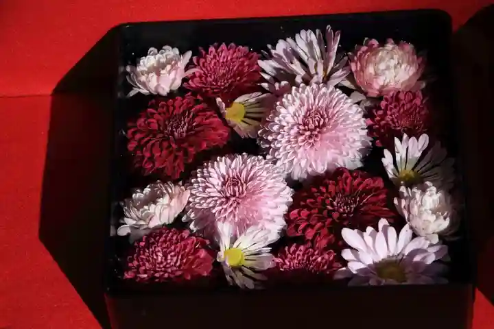 阿邪訶根神社の手水舎