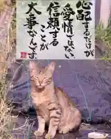 専念寺(大阪府)