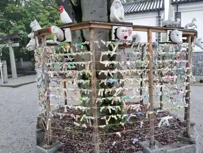阿智神社のおみくじ