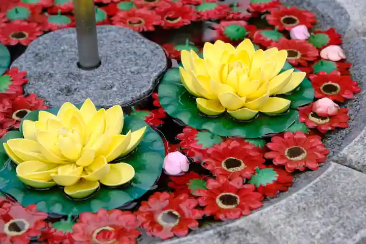 慈尊院(和歌山県)