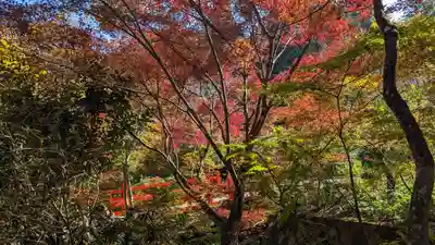 神藏寺(京都府)