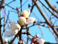 湯島天満宮(長野分社)(長野県)