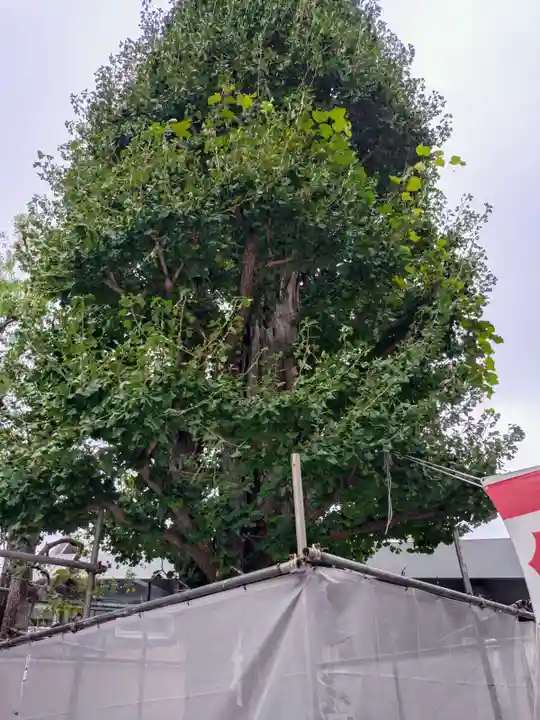 大鳥神社(東京都)