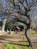 酒門神社(茨城県)