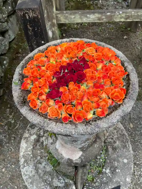丹生都比売神社(和歌山県)