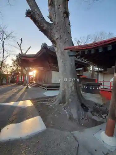 片貝神社の自然