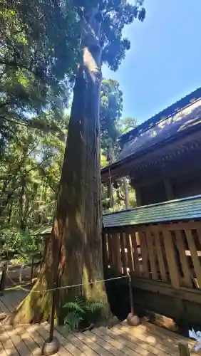 鹿島神宮の{uncategorized: "未分類", other: "その他", undefined: "問題あり", building: "その他建物", grave: "お墓", sacred_gate: "鳥居", guardian: "狛犬", statue: "像", buddha: "仏像", history: "歴史", nature: "自然", garden: "庭園", animal: "動物", pagoda: "塔", temizu: "手水舎", mountain_gate: "山門・神門", sanctuary: "本殿・本堂", subordinate: "末社・摂社", art: "芸術", scenery: "景色", jizo: "地蔵", ema: "絵馬", goshuin: "御朱印", omikuji: "おみくじ", items: "授与品その他", amulet: "お守り", goshuincho: "御朱印帳", eats: "食事", festival: "お祭り", votive_dance: "神楽", shichigosan: "七五三参", wedding: "結婚式", experience: "体験その他", initially: "初詣", around: "周辺", anti_infection: "感染症対策"}