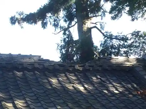 久留里神社(千葉県)