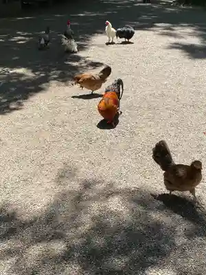 石上神宮(奈良県)