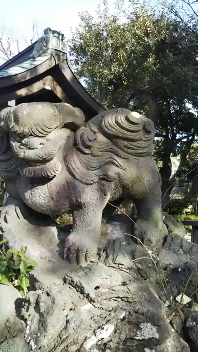 菊田神社の狛犬