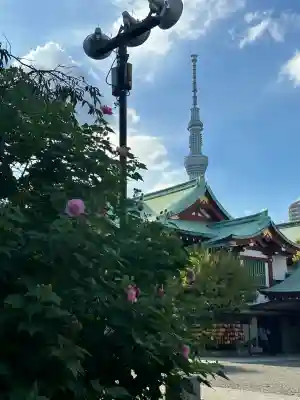 亀戸天神社(東京都)