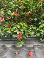 大乗院(京都府)