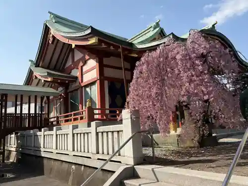 千住神社(東京都)