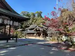 今宮神社(京都府)