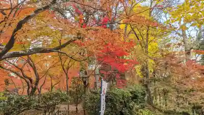長岡天満宮(京都府)