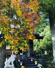 鹿島台神社の建物その他