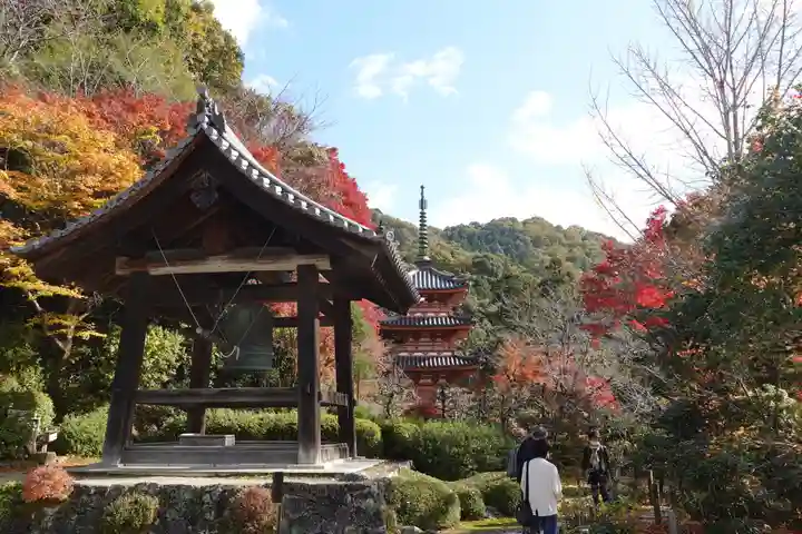 三室戸寺(京都府)