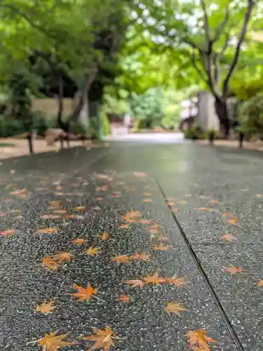 高円寺(東京都)