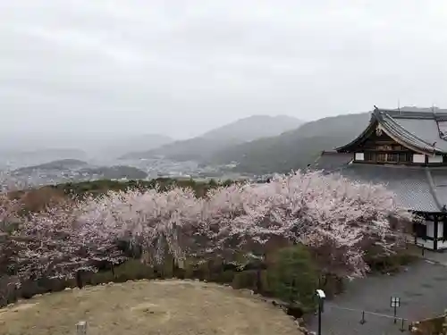 将軍塚青龍殿（青蓮院門跡）(京都府)