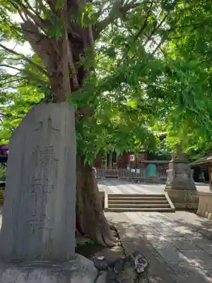 滝野川八幡神社(東京都)