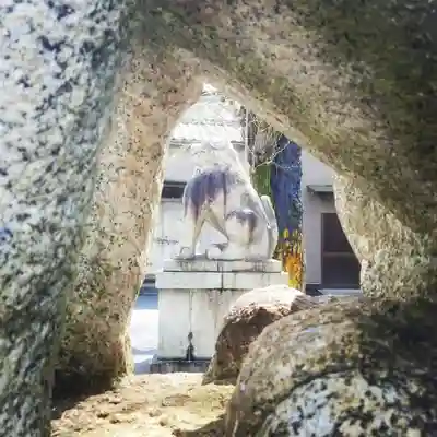 鎧神社の狛犬